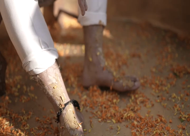 A shot of an Indian Wedding where rituals are being performed in India