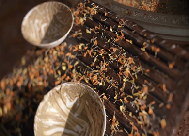 A shot of an Indian Wedding where rituals are being performed in India
