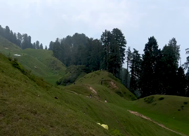 20th June 2025 : Scenic View of Moila Top with Tourists and Grazing Cattle Chakrata Uttarakhand India