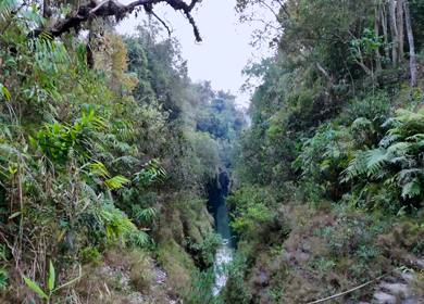 Top View of Narrow Forest Gorge River in Meghalaya India