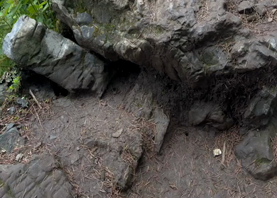 Trekking Trail at Moila Top Chakrata Uttarakhand India Misty Forest Hiking Path