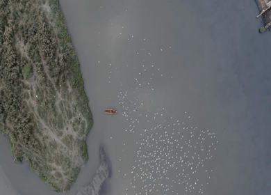 An aerial shot of the cars moving on the bridge at Kashmere Gate