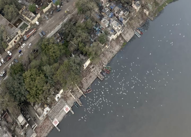 An aerial shot of the birds flying at the Yamuna Ghat