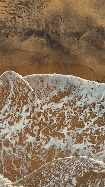 Vertical Aerial Shot of Anjuna Beach Goa India