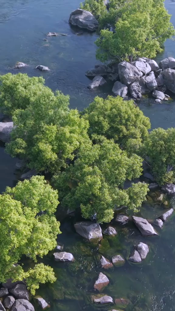 Vertical Aerial Shot of Betwa River Orchha Madhya Pradesh India