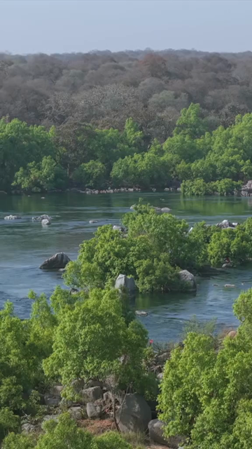 Vertical Aerial Shot of Betwa River Orchha Madhya Pradesh India