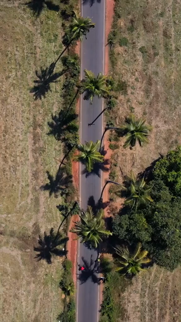 Vertical Aerial Shot of Parra Road Goa India