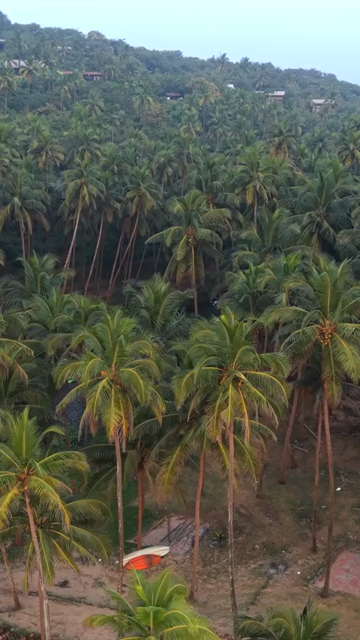 Vertical Aerial View of Agonda Backwaters and Kayaks South Goa India