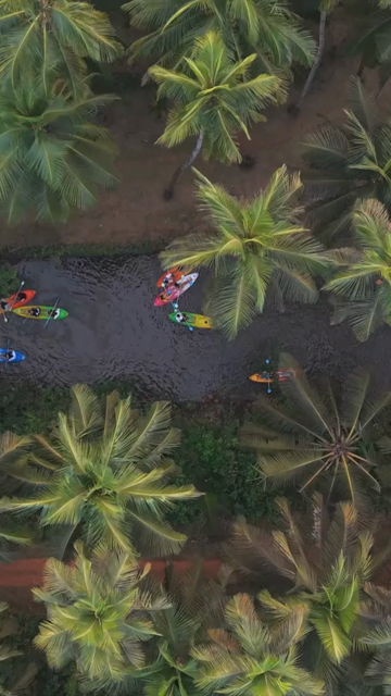 Vertical Aerial View of Agonda Backwaters and Kayaks South Goa India