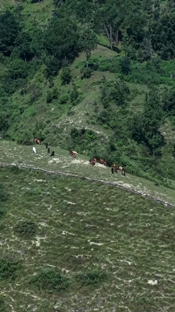 Vertical Aerial View of Almora Town and Surrounding Himalayan Landscapes Uttarakhand