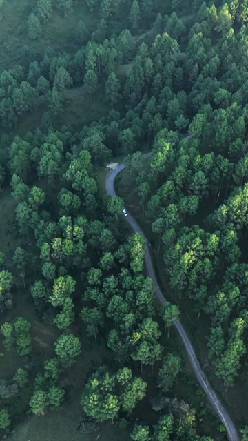 Vertical Aerial View of Almora Town and Surrounding Himalayan Landscapes Uttarakhand
