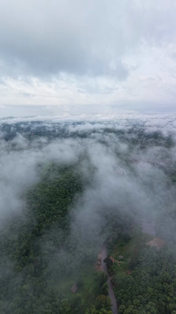 Vertical Aerial View of Amboli Ghat in Monsoon Maharashtra