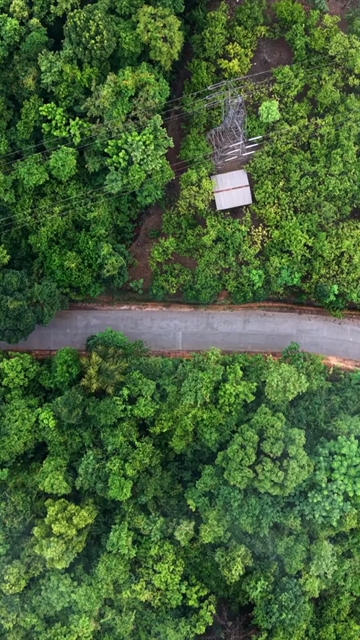 Vertical Aerial View of Amboli Ghat in Monsoon Maharashtra