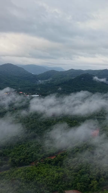 Vertical Aerial View of Amboli Ghat in Monsoon Maharashtra