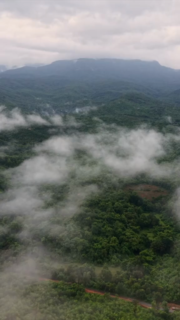 Vertical Aerial View of Amboli Ghat in Monsoon Maharashtra