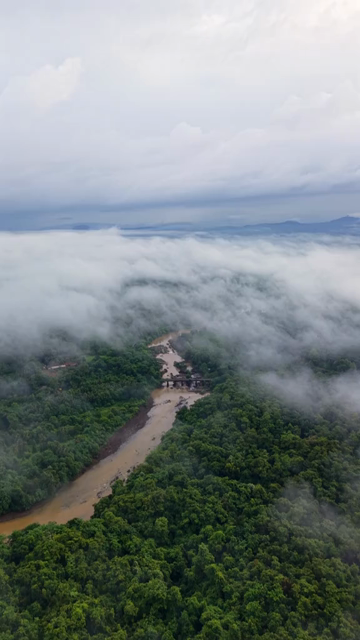Vertical Aerial View of Amboli Ghat in Monsoon Maharashtra