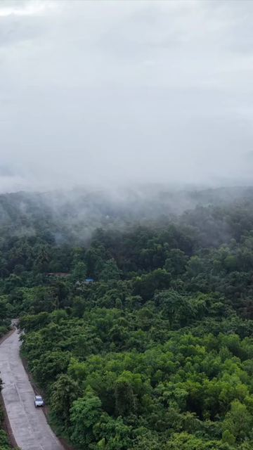 Vertical Aerial View of Amboli Ghat in Monsoon Maharashtra