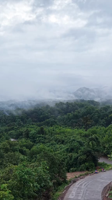 Vertical Aerial View of Amboli Ghat in Monsoon Maharashtra