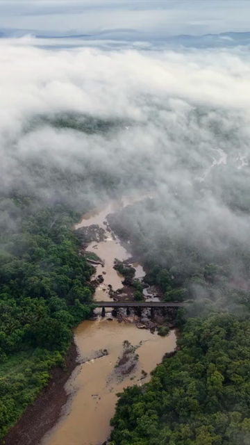 Vertical Aerial View of Amboli Ghat in Monsoon Maharashtra
