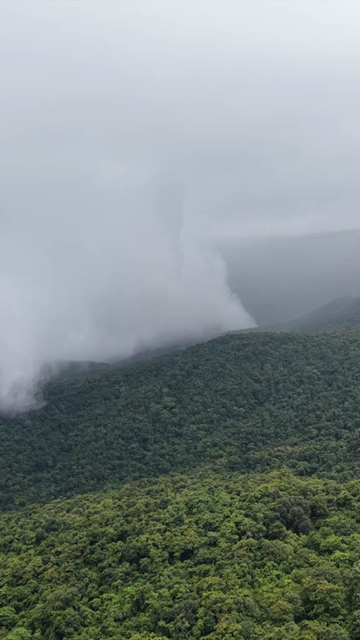Vertical Aerial View of Amboli Ghat in Monsoon Maharashtra