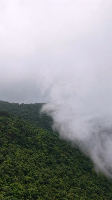 Vertical Aerial View of Amboli Ghat in Monsoon Maharashtra
