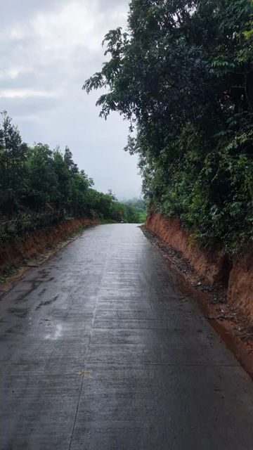 Vertical Aerial View of Amboli Ghat in Monsoon Maharashtra