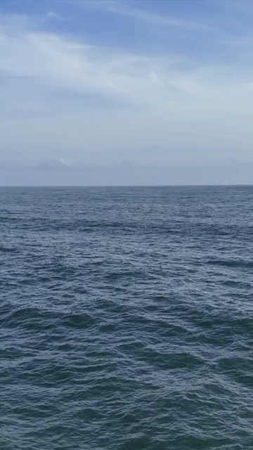 Vertical Aerial View of Arabian Sea Coastline and Ocean in Goa India