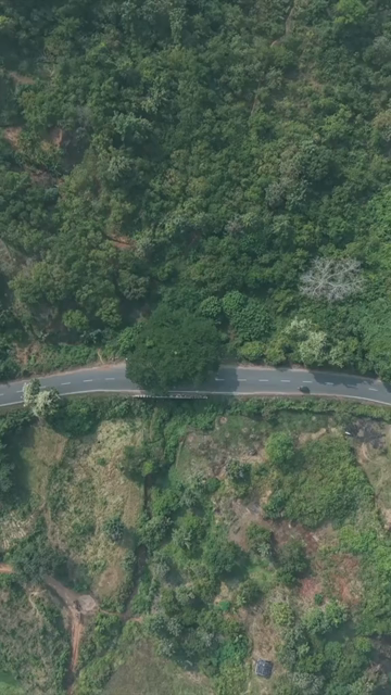 Vertical Aerial View of Araku Valley Andhra Pradesh India
