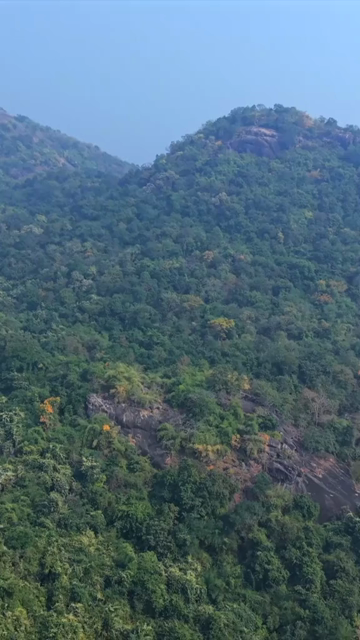 Vertical Aerial View of Araku Valley Andhra Pradesh India