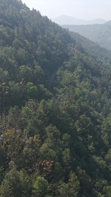 Vertical Aerial View of Araku Valley, Andhra Pradesh, India