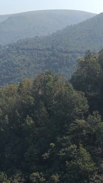 Vertical Aerial View of Araku Valley, Andhra Pradesh, India
