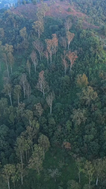 Vertical Aerial View of Araku Valley Andhra Pradesh India