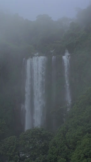 Vertical Aerial View of Barki Waterfall Amid Lush Green Forest Kolhapur Maharashtra
