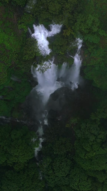 Vertical Aerial View of Barki Waterfall Amid Lush Green Forest Kolhapur Maharashtra