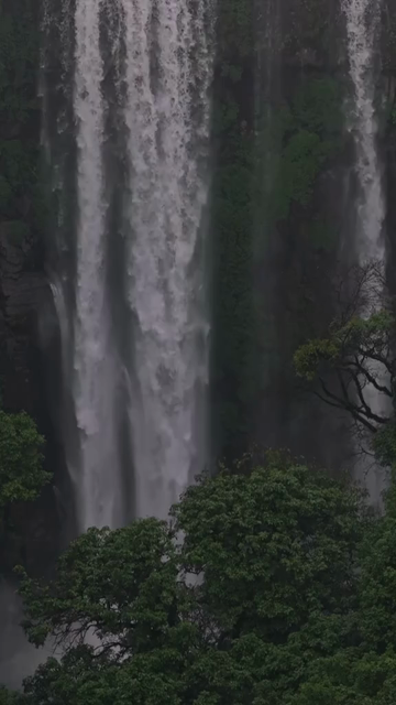 Vertical Aerial View of Barki Waterfall Amid Lush Green Forest Kolhapur Maharashtra
