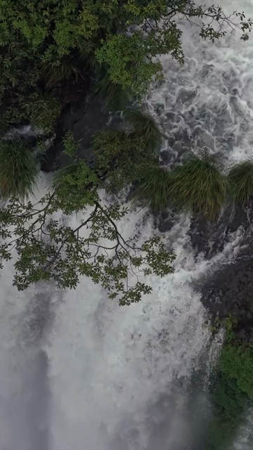 Vertical Aerial View of Barki Waterfall Amid Lush Green Forest Kolhapur Maharashtra