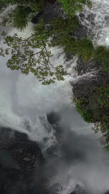Vertical Aerial View of Barki Waterfall Amid Lush Green Forest Kolhapur Maharashtra