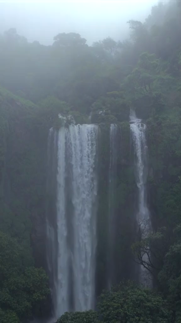 Vertical Aerial View of Barki Waterfall Amid Lush Green Forest Kolhapur Maharashtra