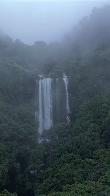 Vertical Aerial View of Barki Waterfall Amid Lush Green Forest Kolhapur Maharashtra