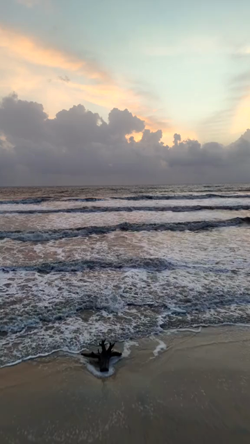 Vertical Aerial View of Scenic Beach in Udupi Karnataka