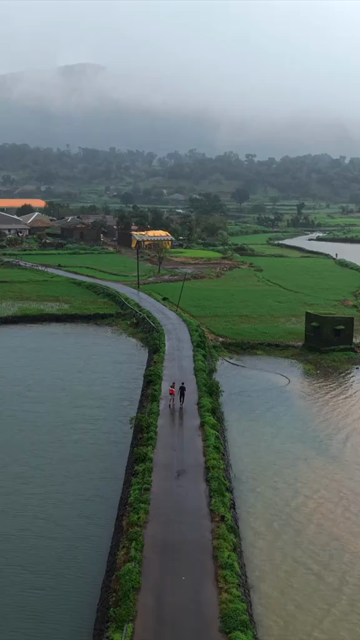 Vertical Aerial View of Bhandardara Lake and Lush Green Landscape Maharashtra India