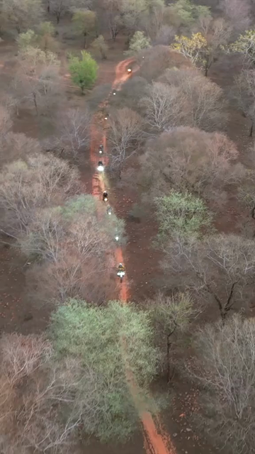 Vertical Aerial View of Bikers Riding Through Kuno National Park Madhya Pradesh