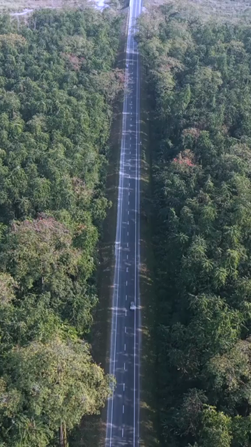 Vertical Aerial View of Bikers Riding Through Forest Road in Arunachal Pradesh India
