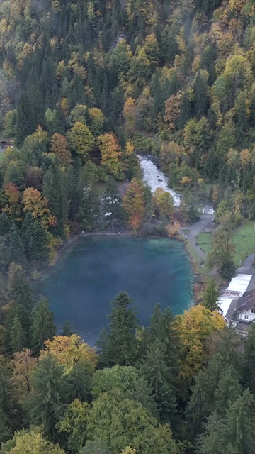Vertical Aerial View of Blausee Lake Switzerland