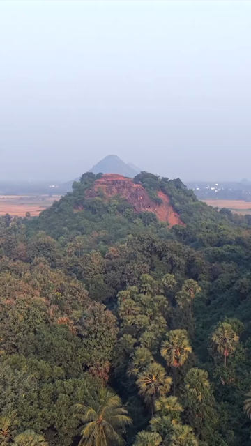 Vertical Aerial View of Bojjannakonda Buddhist Heritage Site Andhra Pradesh India