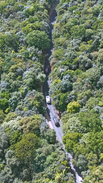 Vertical Aerial View of Cars Driving on Winding Hill Road in Arunachal Pradesh India