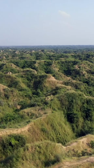 Vertical Aerial View of Chambal Ravines Madhya Pradesh India