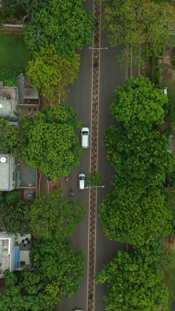 Vertical Aerial View of Chandigarh Cityscape and Urban Infrastructure in India