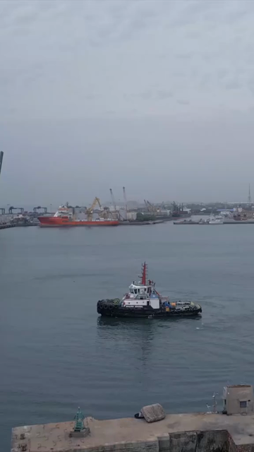 Vertical Aerial View of Chennai Port with Cruise Ship Tamil Nadu India
