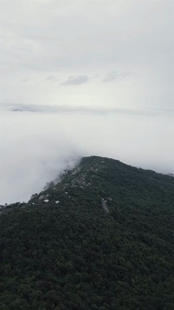 Vertical Aerial View of Cloud Covered Hills in Meghalaya, India